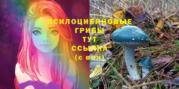 амф Надым