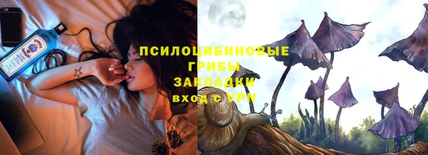 амф Надым