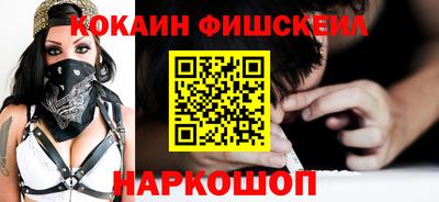 стаф Гатчина