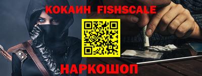 стаф Гатчина