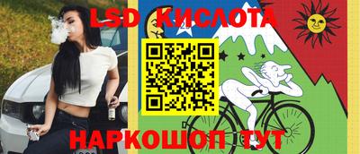 стаф Гатчина