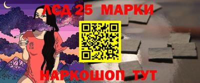 дмт Гай