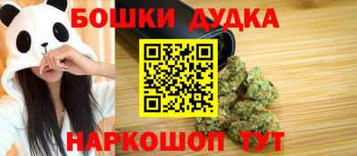 стаф Гатчина