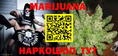 стаф Гатчина