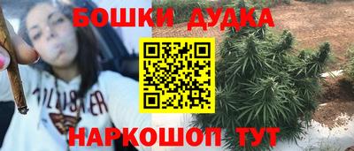 стаф Гатчина