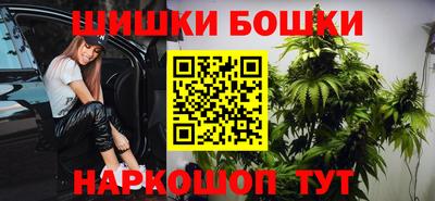 дмт Гай