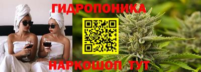 стаф Гатчина