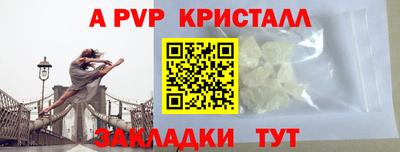 дмт Гай