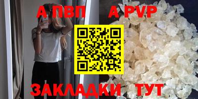 дмт Гай