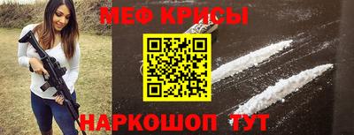 стаф Гатчина