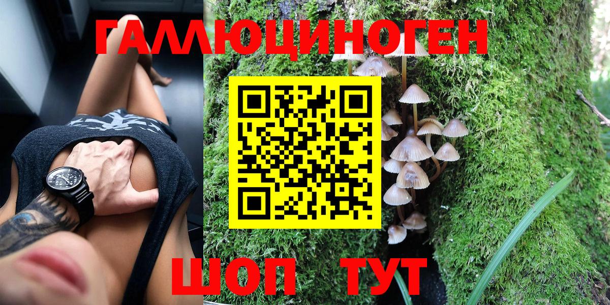 где продают   Зима  Галлюциногенные грибы мухоморы  Псилоцибиновые грибы GOLDEN TEACHER 