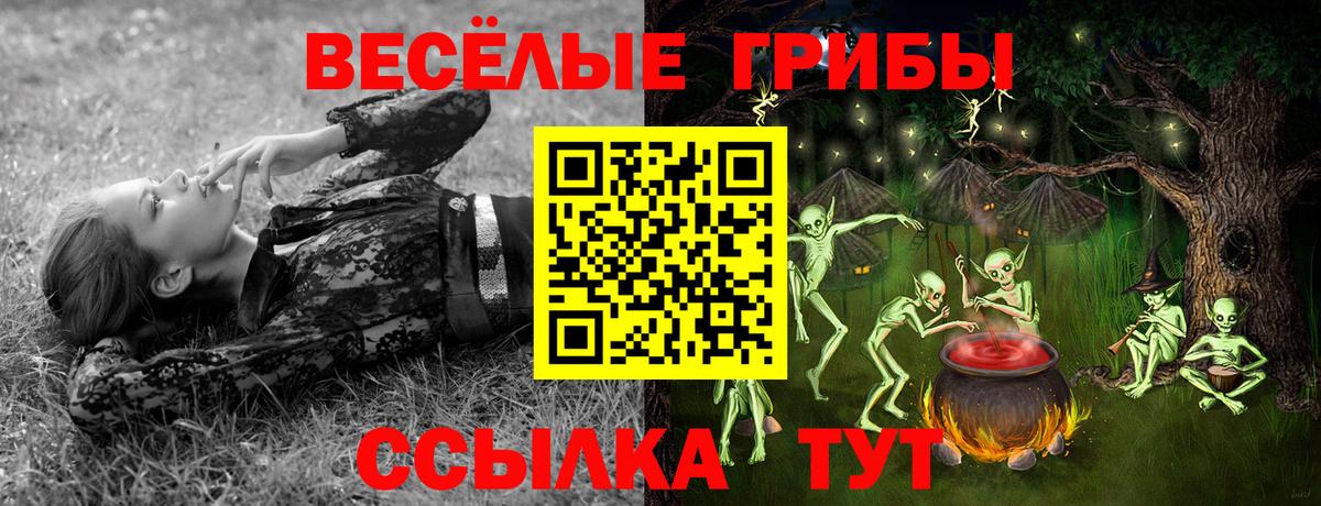 Псилоцибиновые грибы Psilocybine cubensis Зима