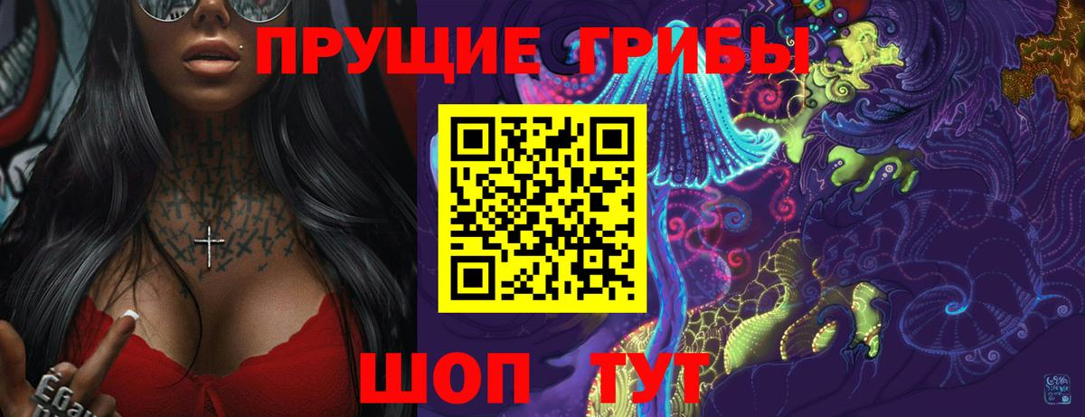 Псилоцибиновые грибы прущие грибы  Вход с VPN  Зима 