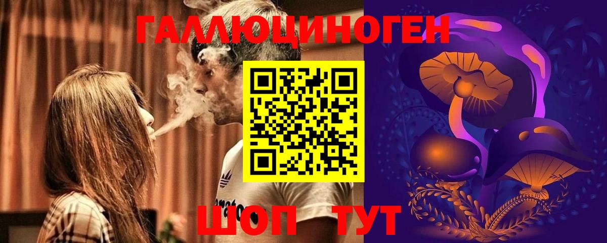 Галлюциногенные грибы Psilocybe Зима